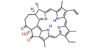 Chlorophyllone a